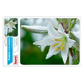  Коврик Buro BU-M20041, рисунок: лилия 